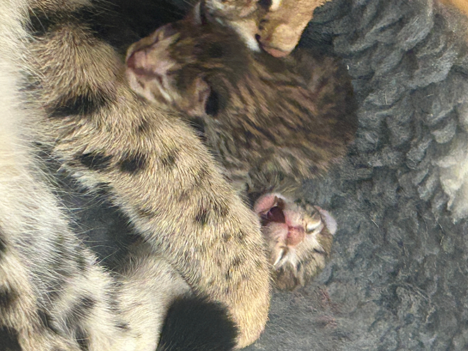 2023 09 24 17.59.18 1